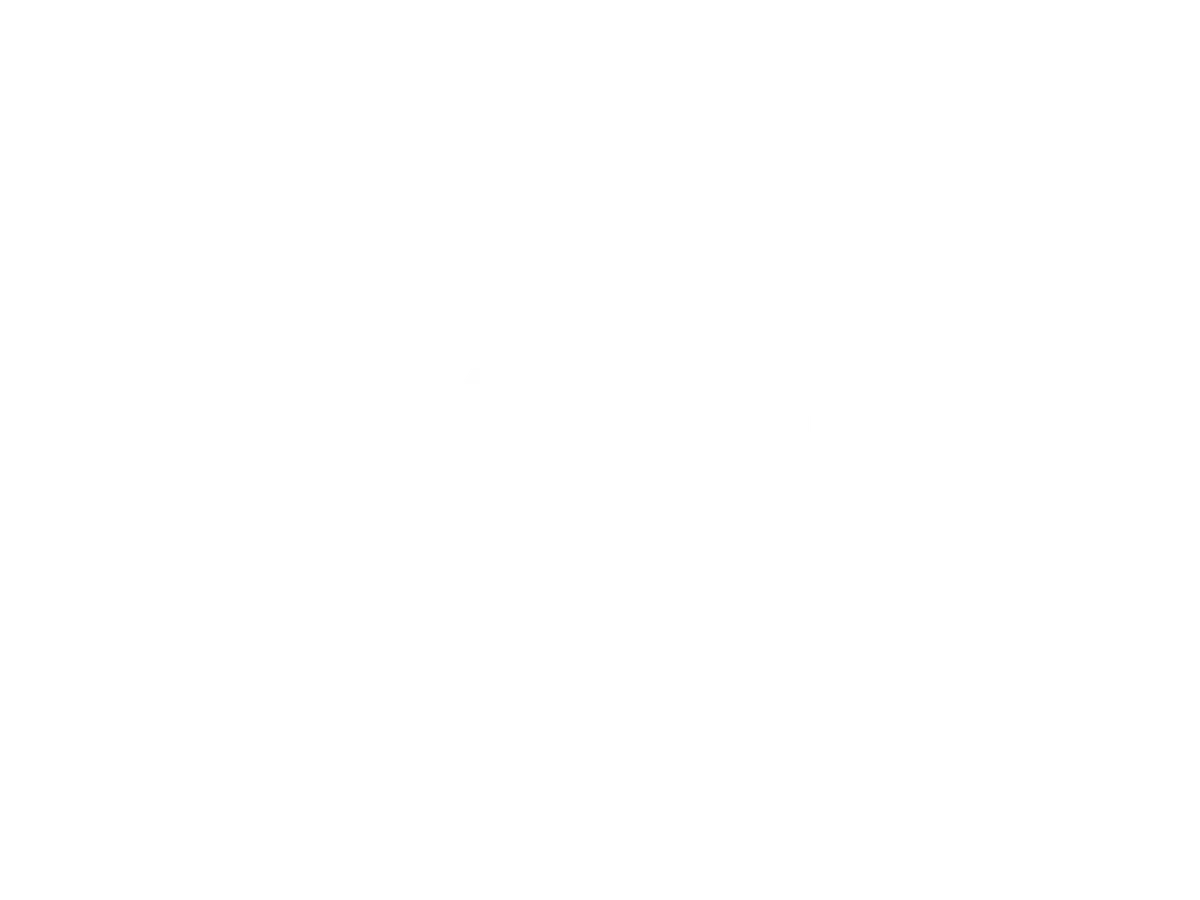 Travel + Leisure