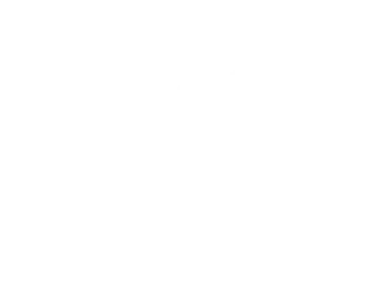 Warrior Women